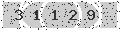 verify code